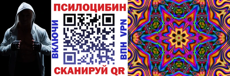 маркетплейс формула  мега вход  Камышин  Галлюциногенные грибы MAGIC MUSHROOMS 